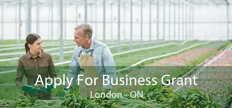 Apply For Business Grant London - ON